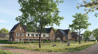 Tussen de Leijen Rijen