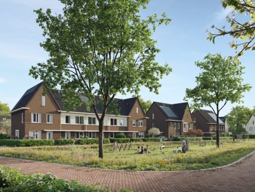 Tussen de Leijen Rijen